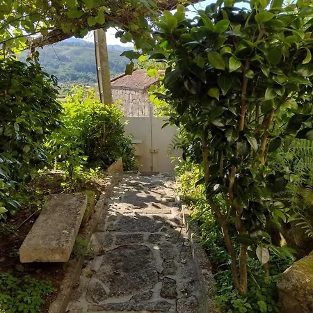 Catarina - Xuresvillas *